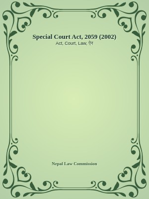 Special Court Act, 2059 (2002)